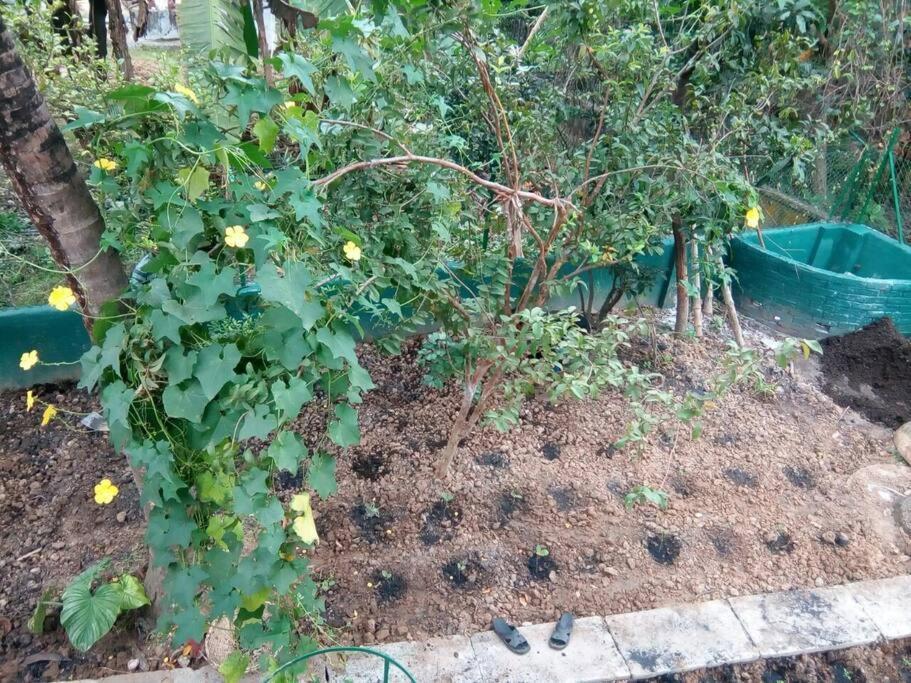 Bhitey Homestay Simantapally / Shantiniketan Buitenkant foto