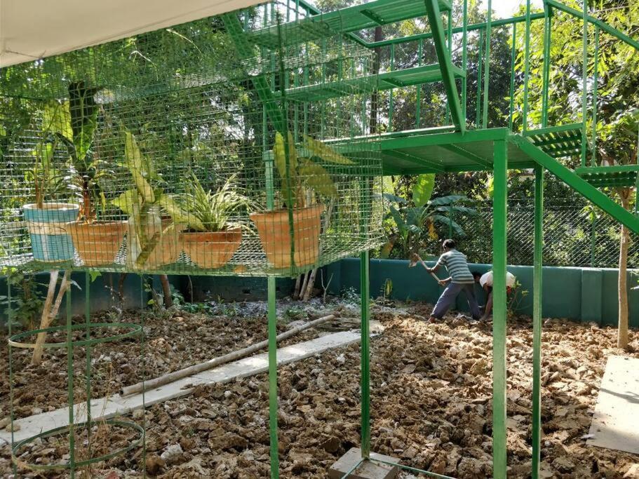 Bhitey Homestay Simantapally / Shantiniketan Buitenkant foto